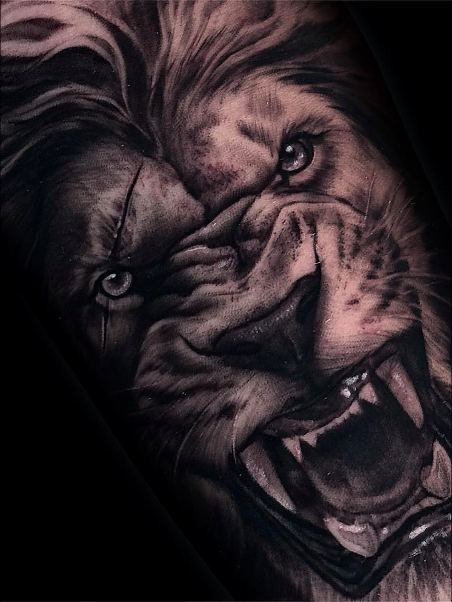 Leone realistico — black and grey